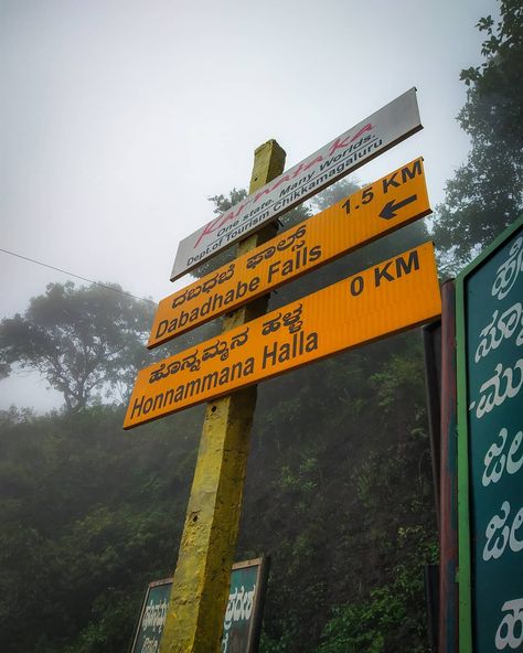 Every road has two directions. . . . #Chikmagalur #Trek #Karnataka #HillStation  #IndianHeritage #InstaTravel #Igers #IndiaPictures… Chikmagalur Photography, Bangalore Aesthetic, Movie Night Photography, Nandi Hills, Vision Board Inspiration, Indian Heritage, Hill Station, Board Inspiration, Mysore