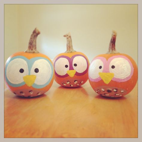 Finished product :)  Owl pumpkins, pumpkin painting, arts & crafts, DIY Painted Owl Pumpkin, Owl Pumpkin Painting, Pumpkin Decorating Diy, Owl Pumpkin, No Carve Pumpkin Decorating, Halloween Pumpkins Painted, Pretty Pumpkins, Halloween Pumpkin Designs, Creative Pumpkins