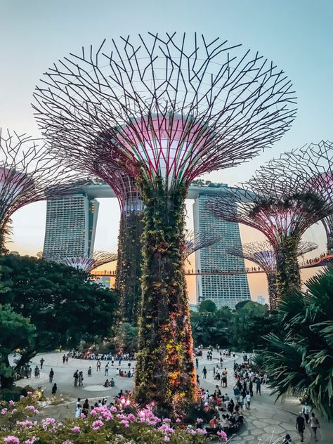 The best Instagram spots in Singapore | Nextination Esther Garcia, French Country Garden Decor, Singapore Photos, Country Garden Decor, Visit Singapore, Sands Hotel, French Country Garden, Hidden Places, Singapore Travel