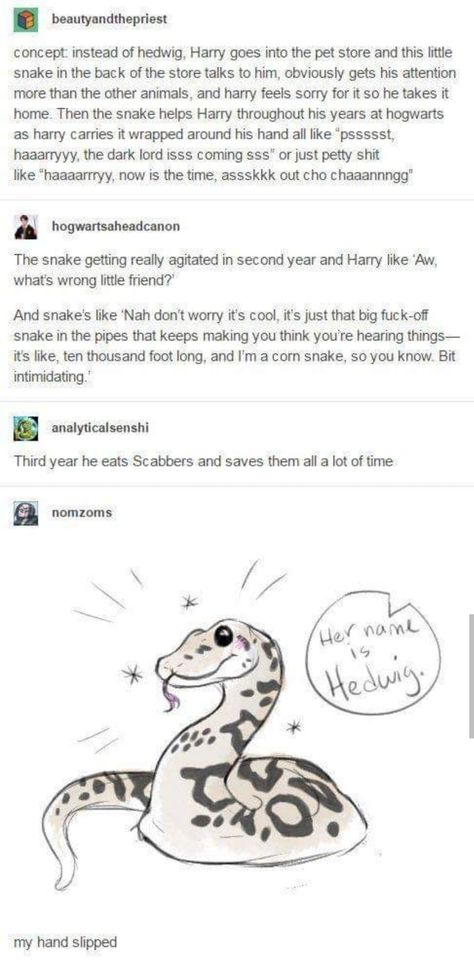 Hedwig Snake Pet, Yer A Wizard Harry, Harry Potter Tumblr, Harry Potter Headcannons, Harry Potter Jokes, Harry Potter Marauders, Harry Potter Obsession, Harry Potter Universal, A Snake