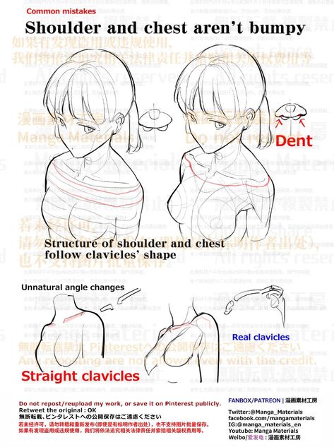 Manga Materials English on Twitter: "PERSONAL NOTE: shoulder and chest connect with Clavicles Structure of the shoulder basics Patreon https://t.co/woaUDNMFBt FANBOX https://t.co/H0QcLFDPO4 Shoulders and the chest : Tutorial Summary Patreon https://t.co/e4ufm6Cd8l FANBOX https://t.co/yAq4P5Pwtp https://t.co/IBeB7RDo7e" / Twitter How To Draw Woman Chest, How To Draw Chest, How To Draw Shoulders, Arm Around Shoulder Reference, Drawing Shoulders, Shoulder Drawing Reference, Shoulders Drawing, Shoulder Reference, Anime Shoulder