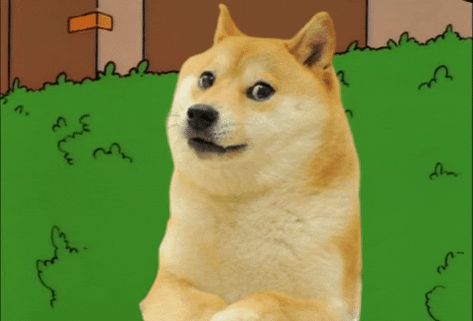 Doge Gif, When I See My Crush, Homer Simpson, Me When, My Crush, Cute Pictures, First Love, Pokemon, Gif