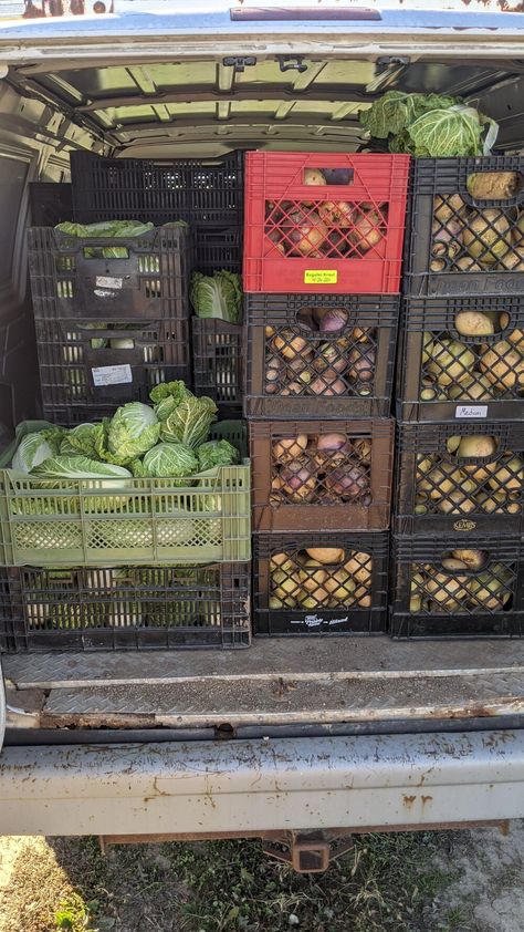 Other Options — Turtle Creek Gardens CSA Harvest Market, Turtle Creek, Farm Store, Veggie Garden, Farmers Market, Farmer