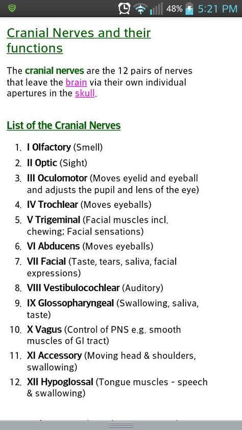 12 Cranial Nerves, Medical Terminology Study, Nursing School Essential, Nursing School Motivation, Basic Anatomy And Physiology, Nurse Study Notes, Nursing Mnemonics, Nursing Student Tips, Medical Student Study