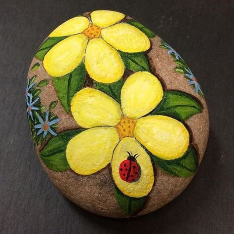 Rock Painting Flowers, Art Coquillage, Rock Flowers, Art Pierre, Rock And Pebbles, Painted Rocks Craft, Painted Rocks Diy, Rock Painting Ideas Easy, Rock Painting Patterns