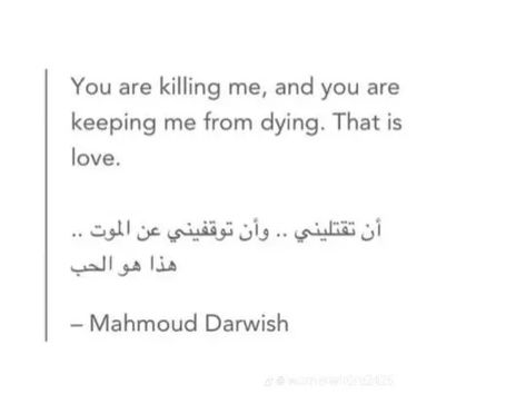 Mohamed Darwish Poems, Mohamed Darwish, Mohammed Darwish, Darwish Poetry, Mahmood Darwish, Magical Poetry, Arabic Poems, Love Poems In Hindi, Mahmoud Darwish