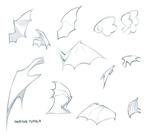 Bat Sketch, Dragon Tutorial, Wings Sketch, Bat Art, Ear Art, Wings Drawing, Body Base Drawing, Digital Art Beginner, Paint Tool Sai