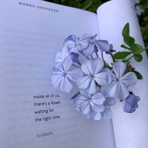 Purple Quote Aesthetic, Diary Aesthetics, Cocktail Videos, Poetry Ideas, Inspirtional Quotes, Good Insta Captions, Aesthetic Books, Meant To Be Quotes, Quotes Poetry