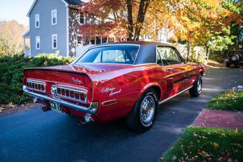 Mustang California Special, 1968 Ford Mustang, 1968 Mustang, Vintage Mustang, Grand National, Pony Car, American Cars, Mustang Gt, Collector Cars