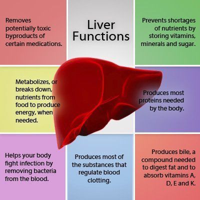 Struktur Teks, Healthy Detox Cleanse, Detox Your Liver, Nursing School Notes, Medical Anatomy, Nursing Tips, Liver Detox, Healthy Liver, Nursing Study