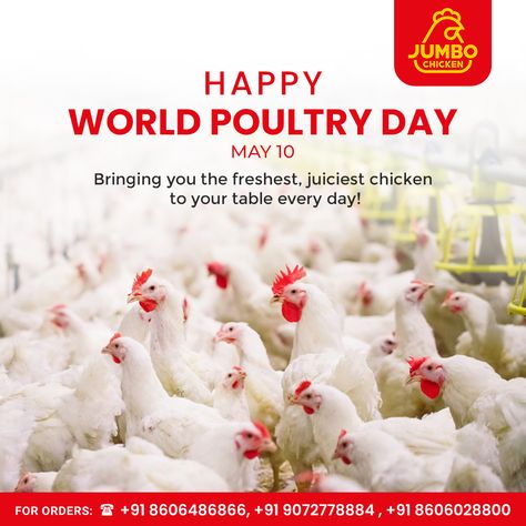 Bringing you the freshest, juiciest chicken on World Poultry Day and every day. Happy World Poultry Day from Jumbo Chicken! 🐔 . . . #Jumbo #WorldPoultryDay #PoultryDay #Poultry Chicken Jumbo, Pvc Chicken Feeder, Chicken Delivery, Poultry Farm Design, Juiciest Chicken, Poultry Business, Hen Farm, Chicken Feeders, Eagle Wallpaper