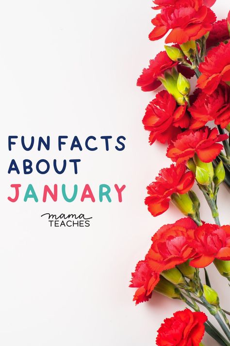 Fun Facts About January - Mama Teaches January Born, Alzheimers Activities, Fun Facts For Kids, Riddles To Solve, Facts For Kids, New Year's Resolutions, Capricorn And Aquarius, Expressing Gratitude, Online Teaching