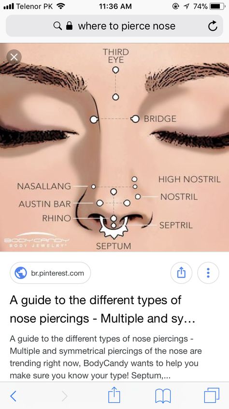 Nose Piercing Chart, Nose Peircing, Different Types Of Piercings, Beauty Tips With Honey, Ear Piercings Chart, Piercing Chart, Types Of Ear Piercings, Pretty Ear Piercings, Face Piercings