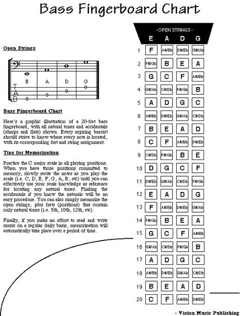 Bass Guitar Notes, Bass Guitar Scales, Learn Bass Guitar, Bass Guitar Chords, Bass Guitars For Sale, Guitar Fender, Music Theory Guitar, Guitar Tabs Songs, Bass Guitar Lessons