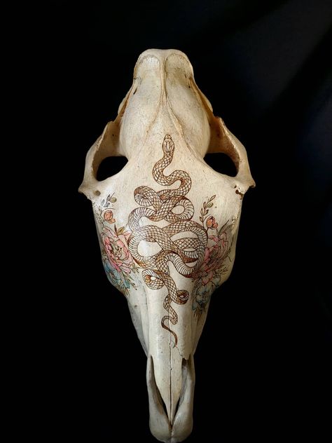 Pyrography bone #pyrography #bone #horse Pyrography On Bone, Bone Pyrography, Hog Skull, Deer Skull Art, Types Of Bones, Pyrography Designs, Pyrography Tools, Skull Crafts, Head Art