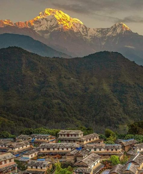 Ghandruk Nepal, Kennel Logo, Nepal Photography, Mustang Nepal, Himalayas Nepal, Monte Everest, Mountain Trekking, Travel Nepal, Nepal Culture