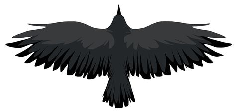 Black Crow Silhouette, Crow Silhouette, Black Bird Tattoo, Native Tattoos, Crow Tattoo, Silhouette Tattoos, Raven Tattoo, Crow Art, Raven Art