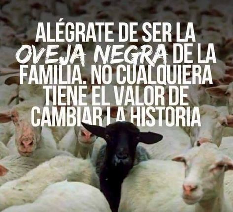 Black Sheep Of The Family, Heart Words, Millionaire Quotes, Picture Collage Wall, Isagenix, Black Sheep, Picture Collage, Gym Motivation, Me Quotes