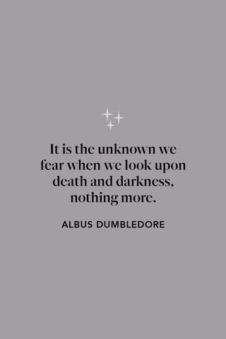 Harry Potter Travel, Harry Potter Cake, Albus Dumbledore, Harry Potter Wallpaper, Harry Potter Quotes, Harry Potter Aesthetic, Harry Potter Memes, Meaningful Quotes, Harry Potter