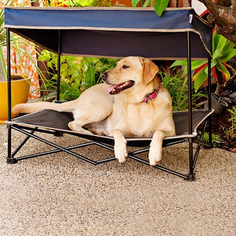 Quick Shade gives your dog a place to beat the heat. Dog Bed With Canopy, Bed With Canopy, Dog Cots, Outdoor Dog Bed, Game Mode, Outdoor Dog, Nalu, Dog Houses, Diy Stuffed Animals