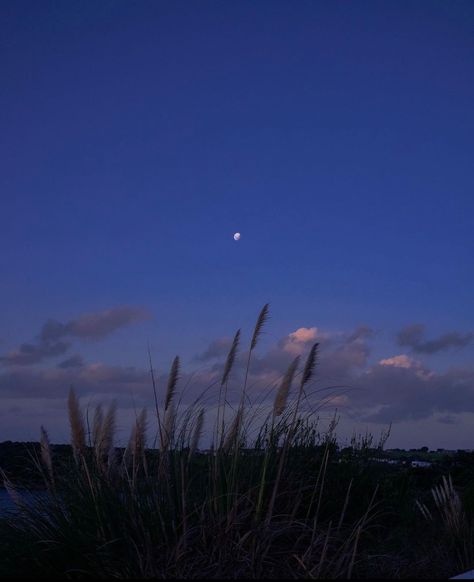 Blue Hour Photography, Beach At Night, Blue Sunset, Blue Dream, Blue Hour, Wallpaper For Your Phone, Night Aesthetic, Sky Aesthetic, Blue Tones