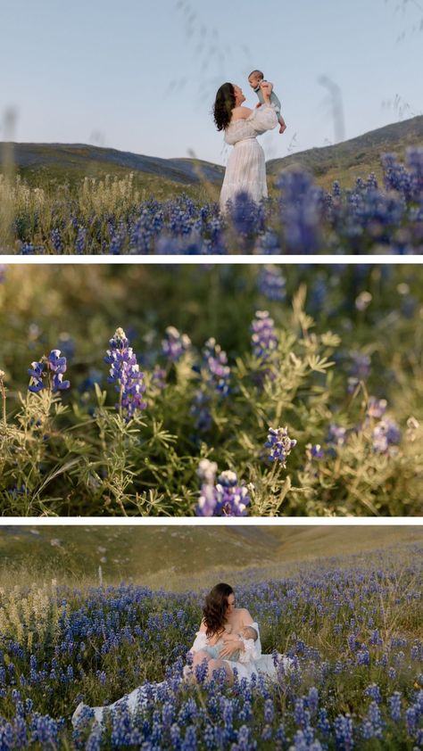 A motherhood session in a field of wild purple Lupines! It was a spring day in Southern California, and we were celebrating Mother’s Day which was coming up shortly with a photoshoot in the green rolling hills amongst Bakersfield, CA. Lupine Field Photoshoot, Lupin Photoshoot, Lupine Photoshoot, Pnw Wildflowers, Bonnet Photoshoot, Motherhood Photoshoot, Outdoor Newborn Photography, Flowers Photoshoot, Motherhood Session