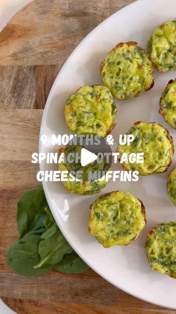 Baby Cottage Cheese Recipe, Spinach Cottage Cheese, Cottage Cheese Muffins, Toddler Muffins, Recipe Spinach, Quick Baking, Cottage Cheese Recipes, Calcium Vitamins, Baby Snacks