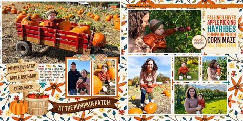 Corn Maze Scrapbook Layouts, Apple Orchard Scrapbook Layouts, Fall Leaves Scrapbook Layouts, Carving Pumpkins Scrapbook Layouts, Pumpkin Picking Scrapbook Layouts, Fall Family Fun, Fun Pumpkins, Pumpkin Picking, Corn Maze