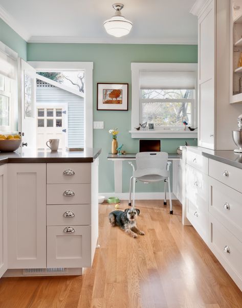 loving this color - Kensington green Benjamin moore Bungalow Homes, House Of Turquoise, Kitchen Wall Colors, Kitchen Decorating, Kitchen Plans, Kitchen Paint, Green Kitchen, White Cabinets, Kitchen Colors