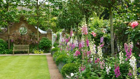 Long Garden Ideas, East Facing Garden, Long Garden, Narrow Garden, West Facing Garden, Garden Privacy, Cottage Garden Plants, Garden Parasols, Garden Makeover