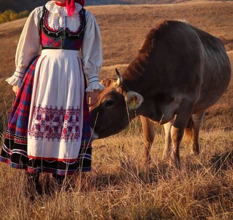 Hungarian Traditional Dress, Hungarian Culture Aesthetic, Hungarian Folk Costume, Hungarian Traditional Clothing, Hungarian Aesthetic, Hungarian Clothing, Pumpkin Game, Hungarian Culture, Hungarian Fashion