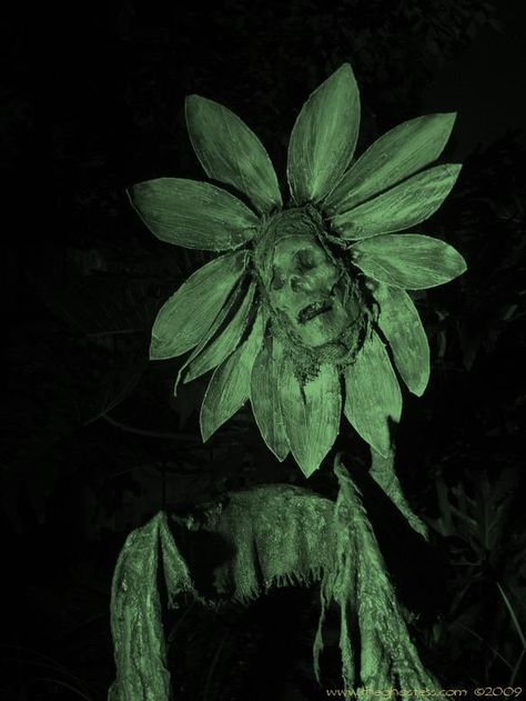 DIY halloween daisy - By the Ghostess from Florida Haunters (Great website, tutorials and forum! I've been a member for years!) Entrada Halloween, Scary Picture, Huge Man, Monster Mud, Body Flowers, Skull Sunflower, Halloween Tea Party, Haunted Woods, Dark Jungle