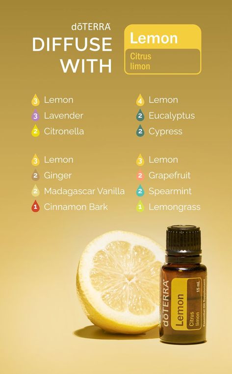 Lemon Verbena Diffuser Blend, Lemon Essential Oil Blends, Lemon Diffuser Blends, Lemon Essential Oil Uses, Doterra Diffuser Blends, Doterra Oil, Doterra Essential Oils Recipes, Essential Oil Diffuser Blends Recipes, What Are Essential Oils