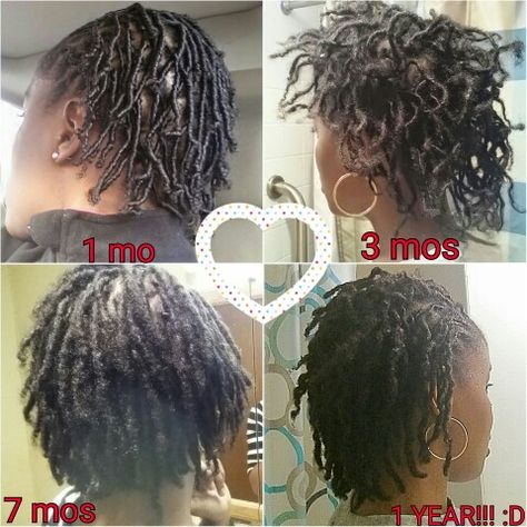 My loc journey through year 1. No interlocking. It's amazing how they thicken up. Loc Progression, Coiled Locs, Locs Starting, Loc Progress, Locs Women, Finger Coils Natural Hair, Locs Journey, Hair Facts, Loc Inspiration