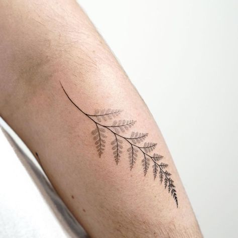 Silver Fern Tattoo, Inner Bicep Tattoo, Fern Tattoo, Leaf Tattoo, Bicep Tattoo, Vine Tattoos, Botanical Tattoo, Silver Fern, Appointments Available