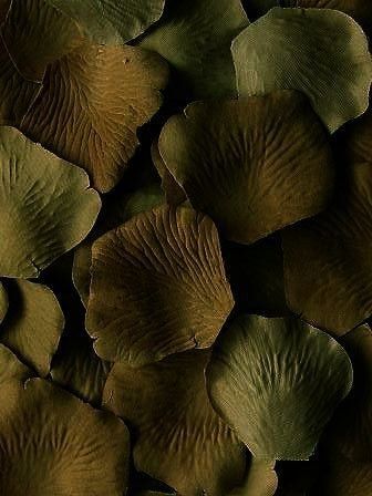 Olive Green Silk Wedding Rose Petals. Dark Moss Green Aesthetic, Sap Green Aesthetic, Dark Olive Green Aesthetic, Khaki Green Aesthetic, Brown Green Aesthetic, Olive Green Aesthetic, Khaki Walls, Hazel Color, Wedding Rose