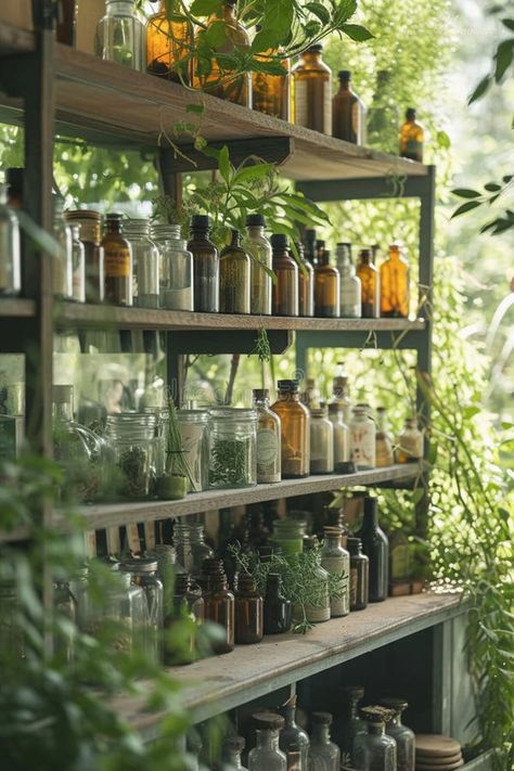 A room with lots of glass bottles and herbs royalty free stock images Herbal Apothecary Aesthetic Room, Home Apothecary Room Decorating Ideas, Apothecary Esthetics, Home Apothecary Room, Herb Aesthetic, Herbal Apothecary Aesthetic, Herbology Aesthetic, Fantasy Apocalypse, Herbalism Aesthetic