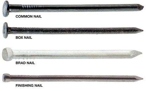 Four types of nails, common, box, brad and finishing, are shown. Nail Room Ideas, Brad Nails, Nail Room, Popular Nail Designs, Pointed Nails, Nail Pictures, Design Nail, Nail Length, Nails Desing