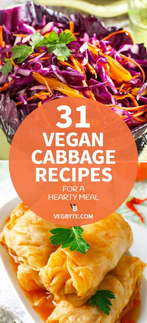 Vegan Cabbage Recipes, Cooked Cabbage Recipes, Easy Cabbage Recipes, Easy Stuffed Cabbage, Vegan Cabbage, Cabbage Diet, Healthy Gut Recipes, Vegan Recipes Plant Based, Cooked Cabbage