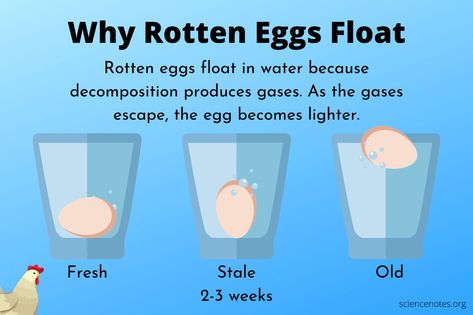 Eggs Float Or Sink, Bad Eggs Float, How Do You Know If Eggs Are Good Or Bad, Good Eggs Vs Bad Eggs, Egg Float Test, Float Or Sink, Egg Test, Food Poisoning Symptoms, Floating Eggs