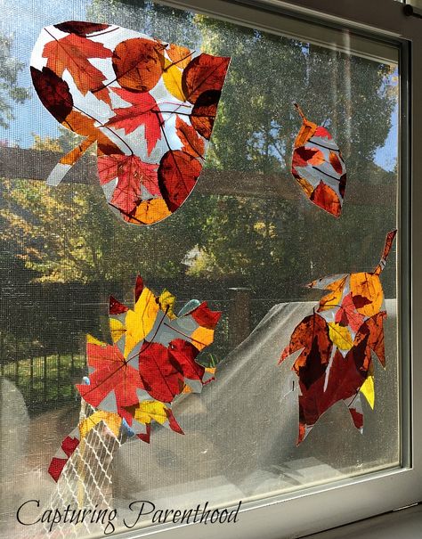 Fall Leaf Sun-Catchers Fall Crafts To Hang From Ceiling Classroom, Fall Leaf Projects, Leaf Window Craft, Autumn Sun, Fall Sun Catchers Preschool, Fall Leaves Art, Leaf Sun Catchers For Kids, Leaf Suncatcher, Fall Sun Catchers For Kids