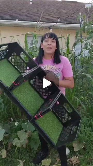 The Backyard Farms on Instagram: "DIY Nesting Boxes Using Crates!  If you are designing them for your chickens to actually lay eggs in them, I would recommend using wood shavings or the laying pads that are made out of hay.   They seem to like laying on those more. I use the turf pads as shown in this video but only for the ground when they sleep to catch the poop during the night.   What have you used to create nesting boxes?   .  YT: JerrasGarden  #diy #farmlife #farming #homesteading #homestead #chickensofinstagram #chickens #chicken #poultry #doityourself" Egg Laying Chicken Coop, How To Make A Chicken Coop Diy, Chicken Egg Laying Boxes Diy, Hens Nesting Boxes, Diy Milk Crate Nesting Boxes, Chicken Coop Nest Boxes Diy, Chicken Nesting Boxes Decor, Chicken Egg Box Nests, Easy Chicken Nesting Box Ideas