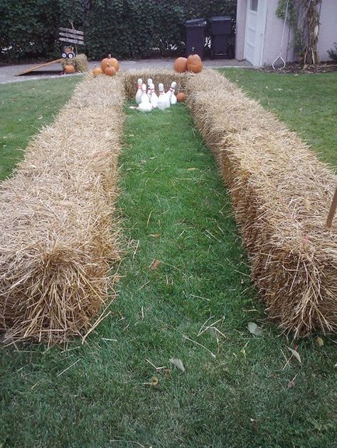 Go bowling in a hay-lined alley. | 31 Fall Wedding Ideas You'll Want To Try Immediately Pumpkin Bowling, Fall Festival Games, Fun Halloween Party Games, Reception Games, Fall Harvest Party, Fall Carnival, Festival Games, Wedding Reception Games, Fest Temaer