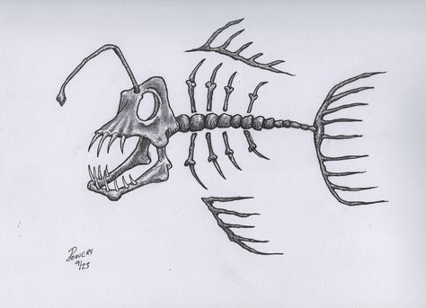 #art #drawing #skeleton #angler #bones #creature #scary #monster #beast Fish Skeleton Drawing, Fish Skeleton, Skeleton Bones, Skeleton Drawings, Angler Fish, Fish Bone, Skull Art, Skeleton, Animal Drawings