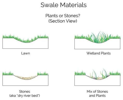 -  - Challenge Title: Stormwater Management Through Landscape Solutions Challenge Difficulty: Intermediate Estimated Time to Complete: 48 hours Required To... Check more at https://digitaldesignnow.com/design-challenge/stormwater-management-through-landscape-solutions/ Wetland Plants, Forest Creek, Landscape Drainage, Backyard Drainage, Naturalistic Garden, Yard Drainage, Storm Water, Stormwater Management, Dry River