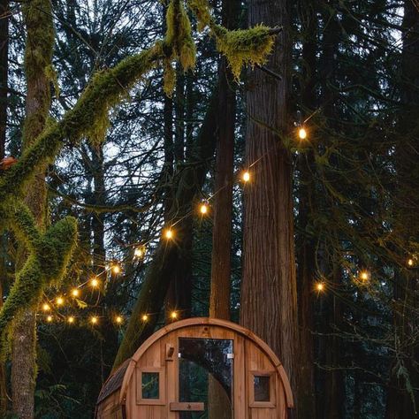 Redwood Outdoors on Instagram: "Feel the magic come alive in your forest spa today with our Thermowood Barrel Sauna, link in bio to shop in-stock units." Forest Sauna, Forest Spa, Cabin Bachelorette, Sauna Outdoor, Barrel Sauna, Sauna Design, July 28, Winter Aesthetic, Dream Life