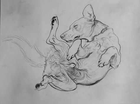 Growling Dog, Dog Pencil Drawing, Dog Growling, Dog Sketch, Canine Art, Sketchbook Art Journal, Arte Animal, Dog Drawing, Drawing Artwork