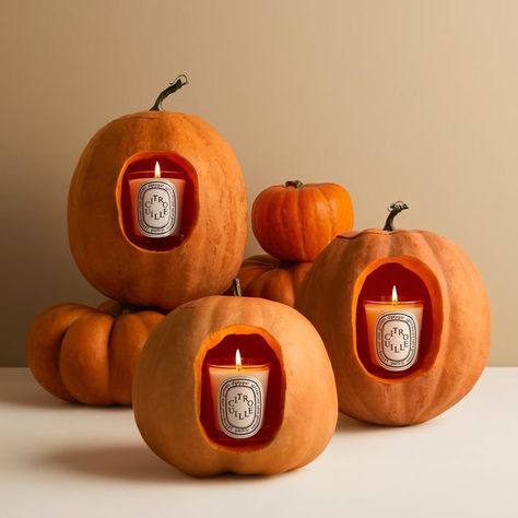 Pumpkin Scented Candles, Popular Candles, Pumpkin Candle Holder, Pumpkin Scent, Pumpkin Candle, Fall Fragrance, Pumpkin Candles, Beauty Products Photography, Dramatic Lighting