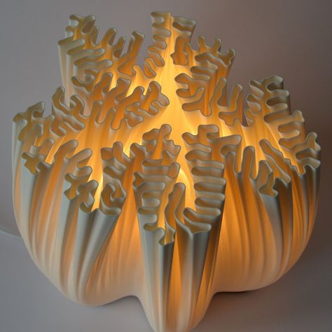 DiploriaLighting - Etsy Biomimicry Design Products, Nature Lamp, Reaction Diffusion, Coral Polyps, Coral Lamp, Brain Coral, Coral Bleaching, White Corn, Lampshade Designs