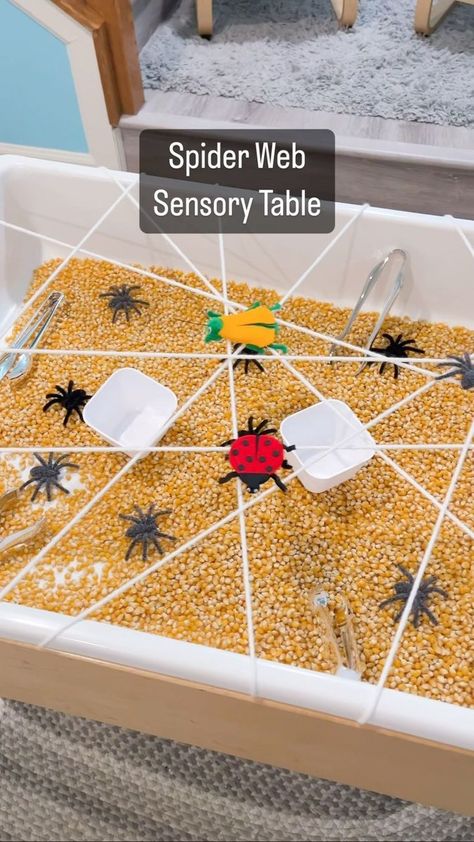 Spider Web sensory table: 🕸️🕷️🕸️🕷️🕸️ The base is filled with popcorn kernels. We wrapped the table with white yarn to make a web, then added little plastic spiders from walmart, tongs from doller tree, and adorable insect finger puppets from ArtFelt.net. Would you like a list of 100 sensory play ideas? I’m happy to drop it in your DMs. 📥 https://playtolearnpreschool.us/sensory-table-ideas/ #PreschoolTeachers #PreKClassroom #Prekindergarten #EarlyChildhoodEd #TeacherResources #ClassroomIdea Insect Sensory Table, Bug Sensory Table, Spider Sensory, Insect Study, Spider Activities, Jamie White, Sensory Play Ideas, Spider Theme, Bugs Preschool